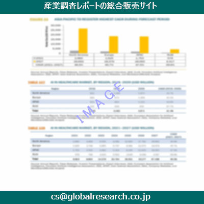 市場調査資料のイメージ