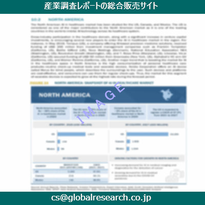 市場調査資料のイメージ