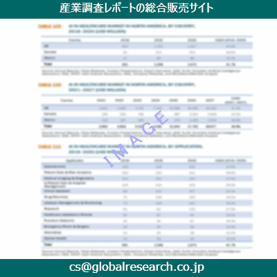 市場調査資料のイメージ