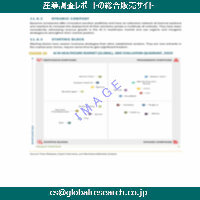 市場調査資料のイメージ