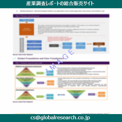 市場調査資料のイメージ