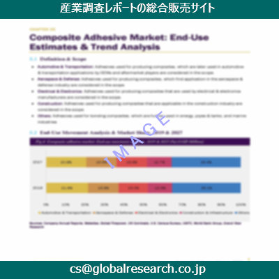 市場調査資料のイメージ