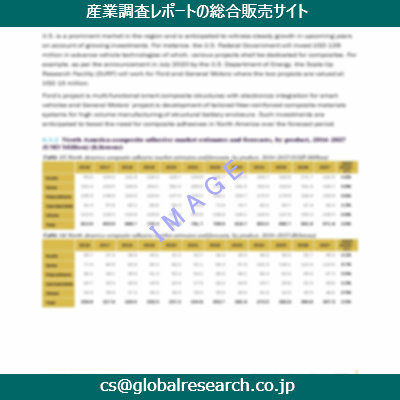 市場調査資料のイメージ