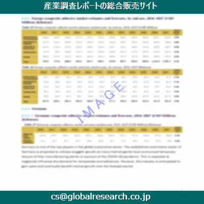 市場調査資料のイメージ