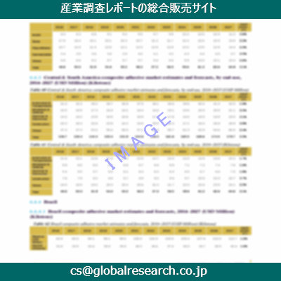 市場調査資料のイメージ