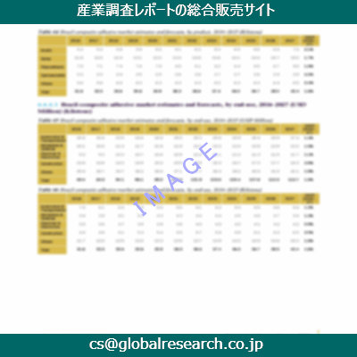 市場調査資料のイメージ