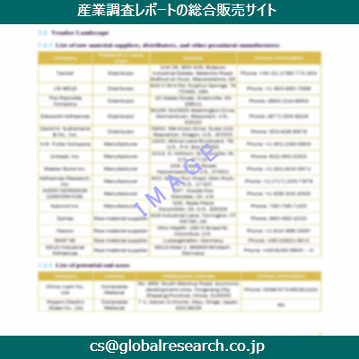 市場調査資料のイメージ