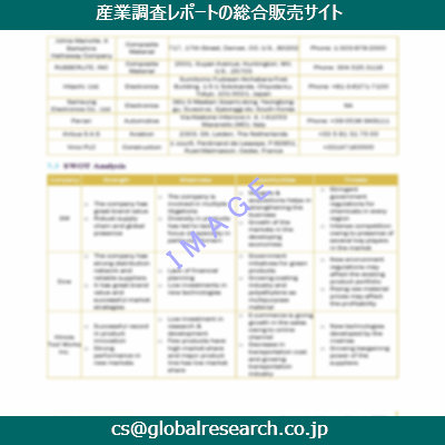 市場調査資料のイメージ