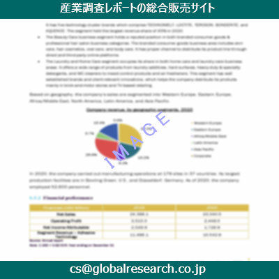 市場調査資料のイメージ