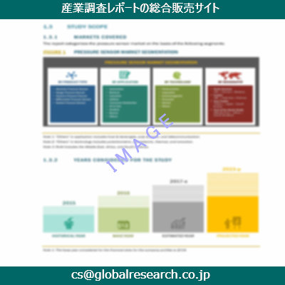 市場調査資料のイメージ