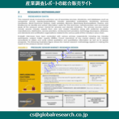 市場調査資料のイメージ