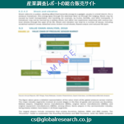 市場調査資料のイメージ