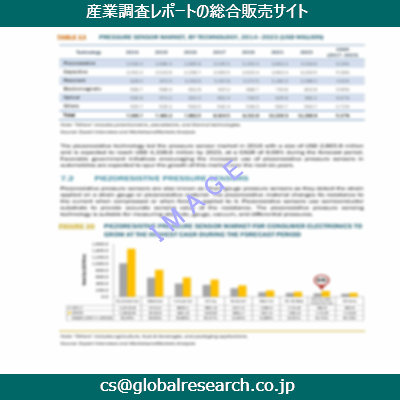 市場調査資料のイメージ