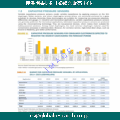 市場調査資料のイメージ