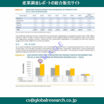 市場調査資料のイメージ
