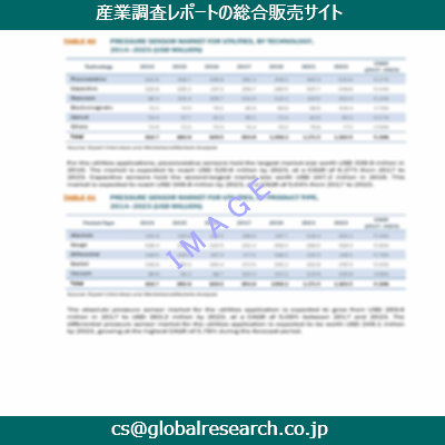 市場調査資料のイメージ