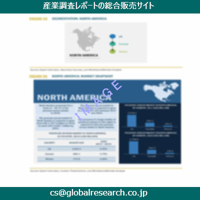 市場調査資料のイメージ