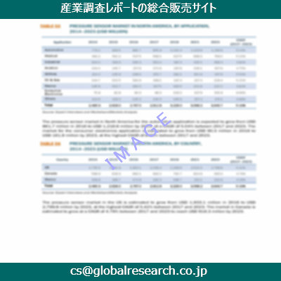 市場調査資料のイメージ