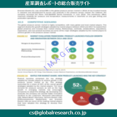 市場調査資料のイメージ