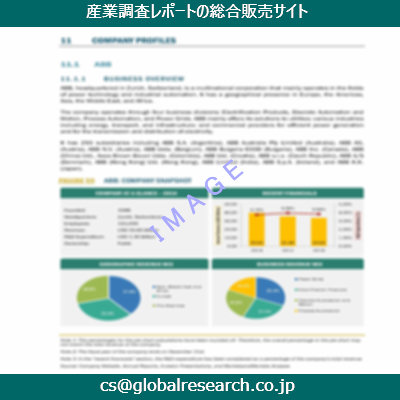 市場調査資料のイメージ