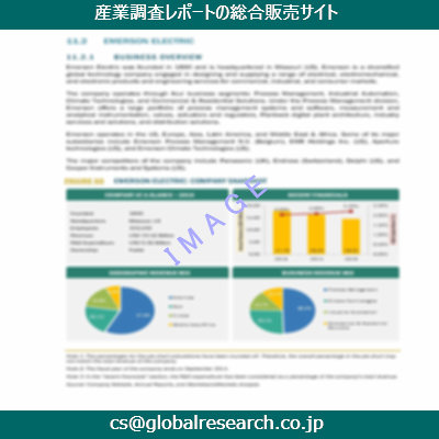 市場調査資料のイメージ