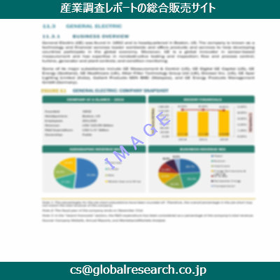 市場調査資料のイメージ