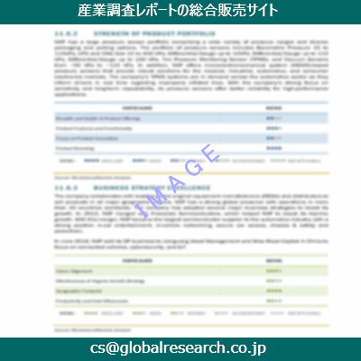 市場調査資料のイメージ