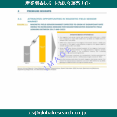 市場調査資料のイメージ