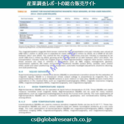 市場調査資料のイメージ
