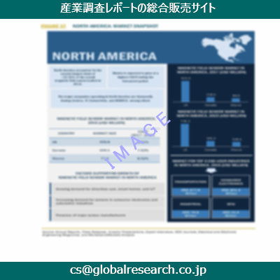市場調査資料のイメージ