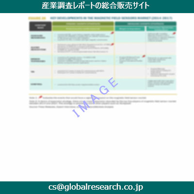 市場調査資料のイメージ