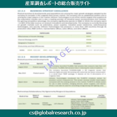 市場調査資料のイメージ