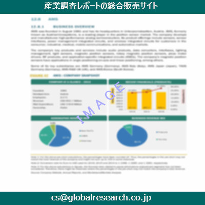 市場調査資料のイメージ
