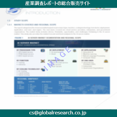 市場調査資料のイメージ