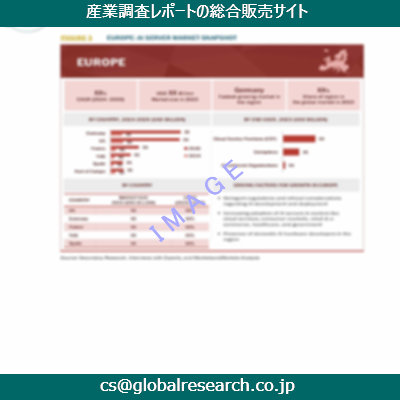 市場調査資料のイメージ