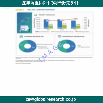 市場調査資料のイメージ