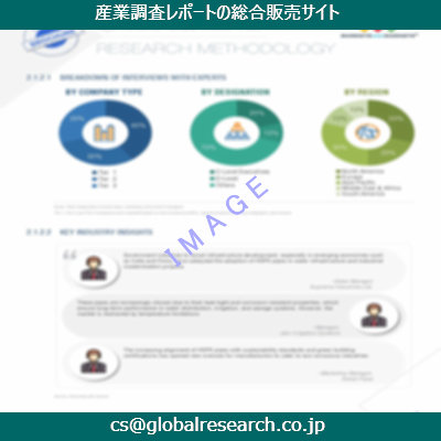 市場調査資料のイメージ