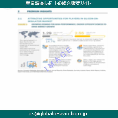 市場調査資料のイメージ