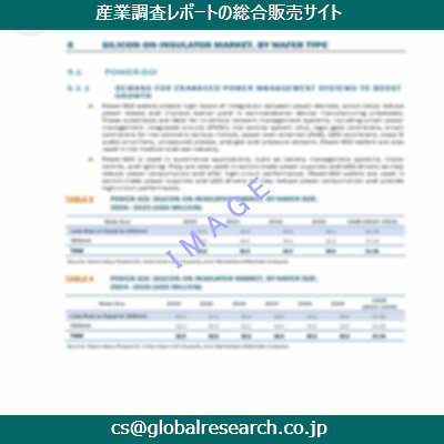 市場調査資料のイメージ