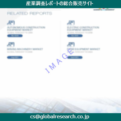 市場調査資料のイメージ
