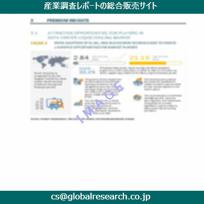 市場調査資料のイメージ