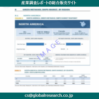 市場調査資料のイメージ