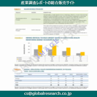 市場調査資料のイメージ