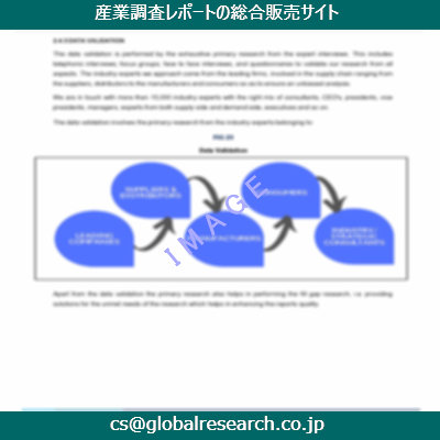 市場調査資料のイメージ